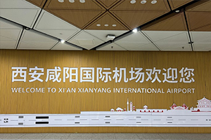 西安鹹陽國際機場汙水處理機