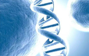 武漢大學周宇和朱玉賢基因組學研究獲得突破