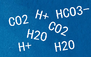 實驗室純水機產出RO水呈酸性pH值比進水低原因