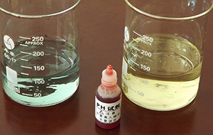 軟水與硬水有哪些區別?