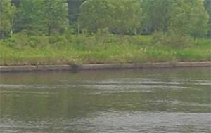 水的硬度是什麽意思?