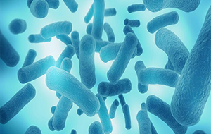 如何減少超純水機內的微生物生長?