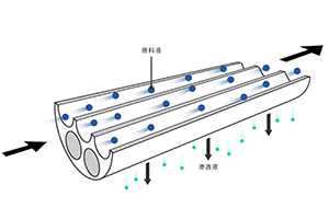 超純水機使用了UF超濾膜後仍然檢測到了內毒素