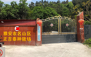 雅安市名山區正吉泰種豬場