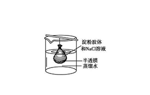 水中的膠體物質及懸浮物質是什麽?