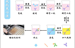 酶標洗板機用純水要求