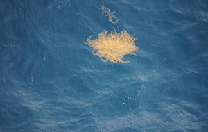 天然水中的雜質對水質的影響